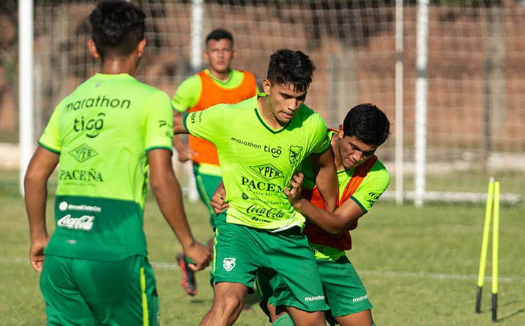 Campeonato sudamericano