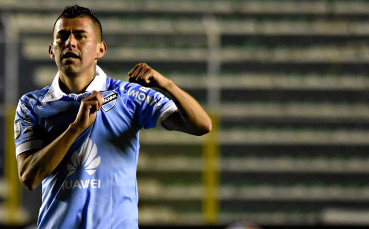Conejo adentro