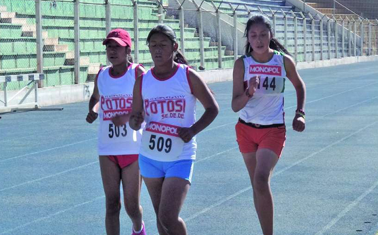 Cuatro disciplinas suspenden actividades