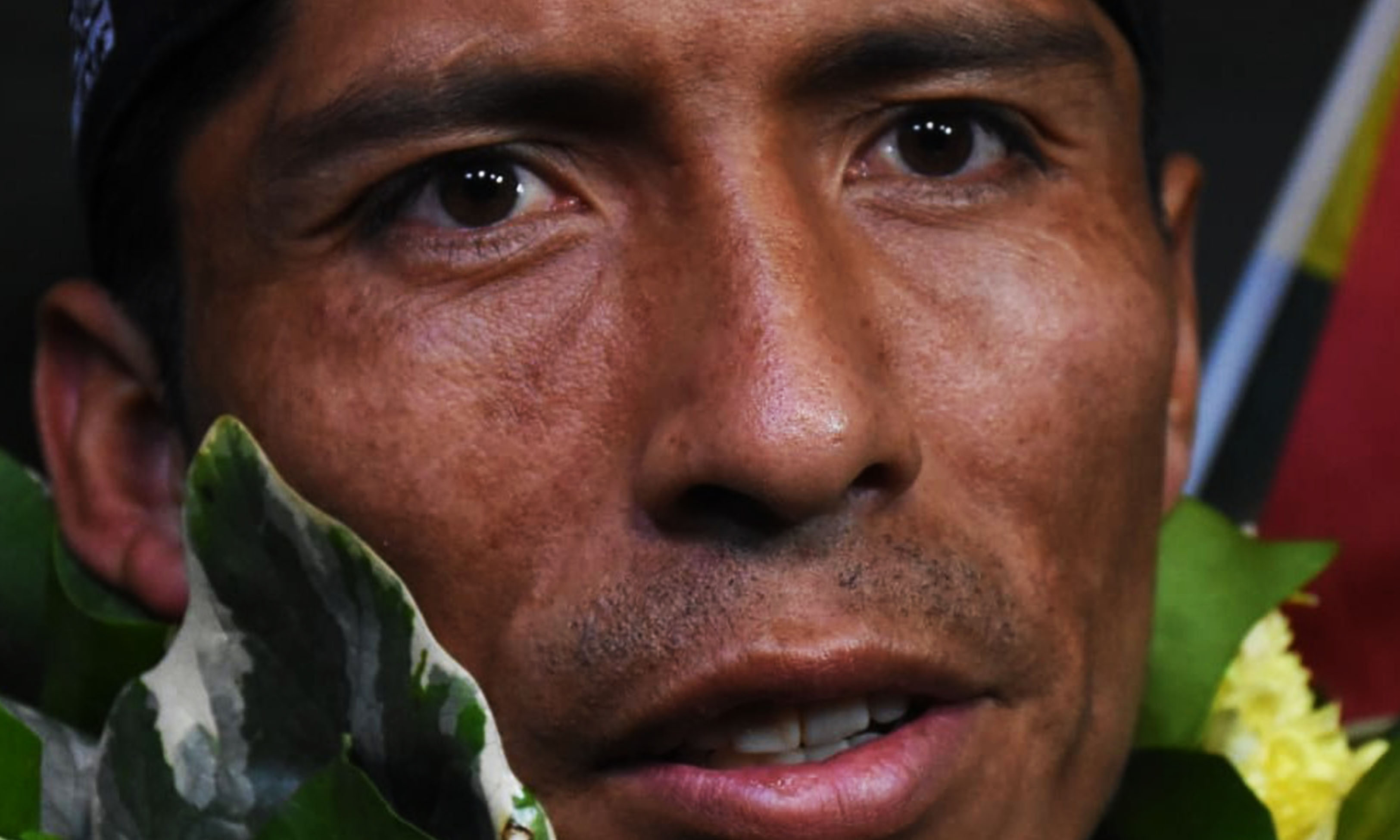 El caso Garibay