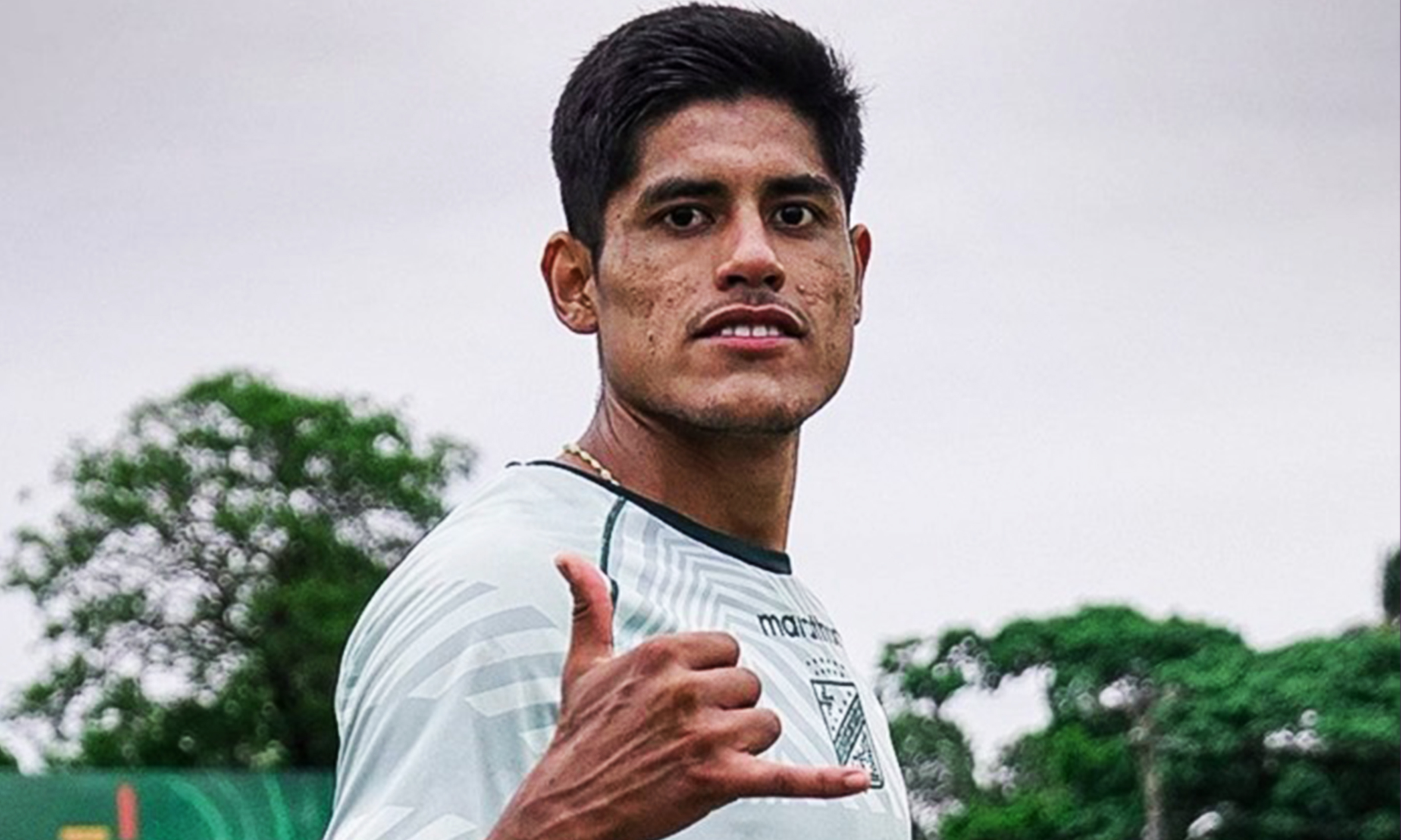 El Tigre va por Nava