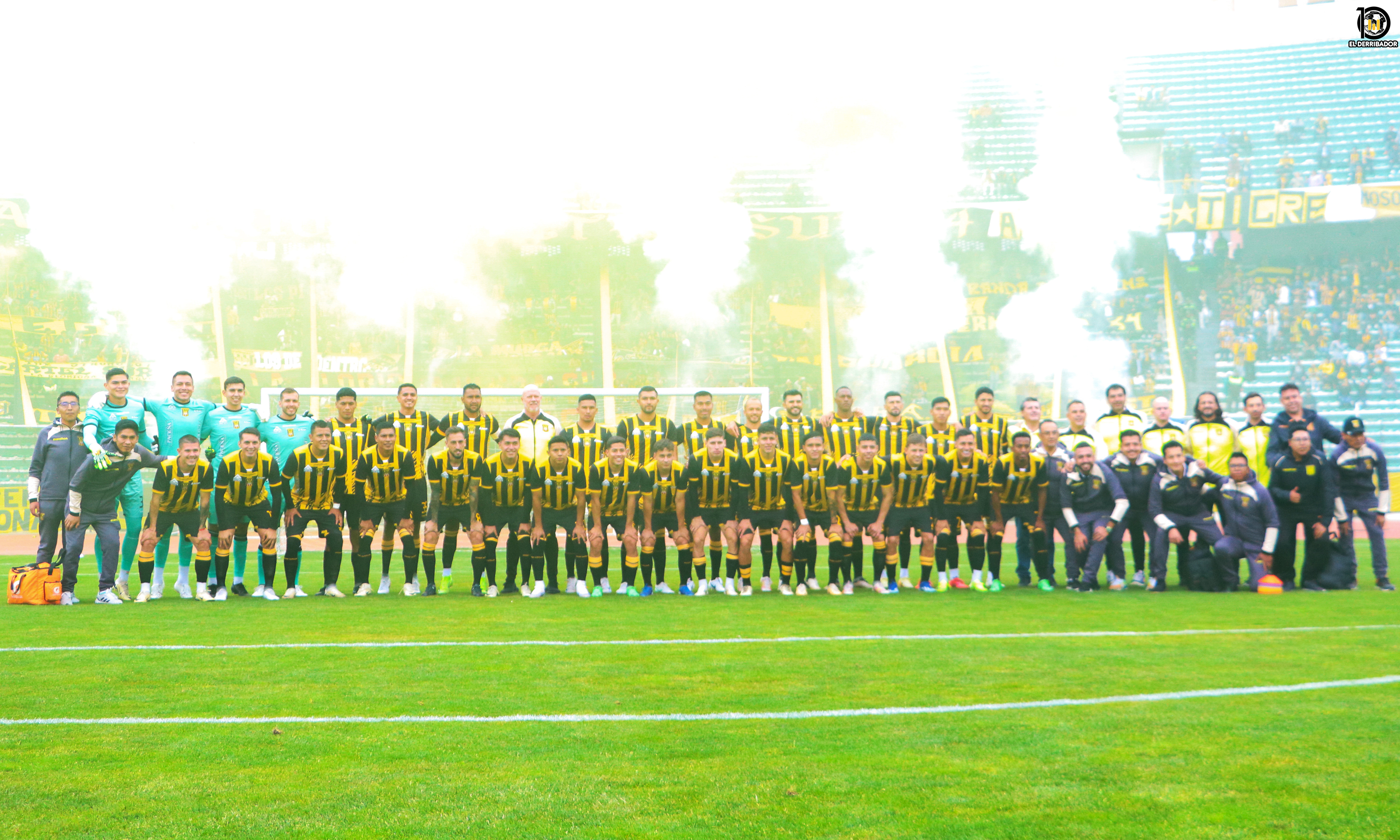 Este es el Tigre 2025