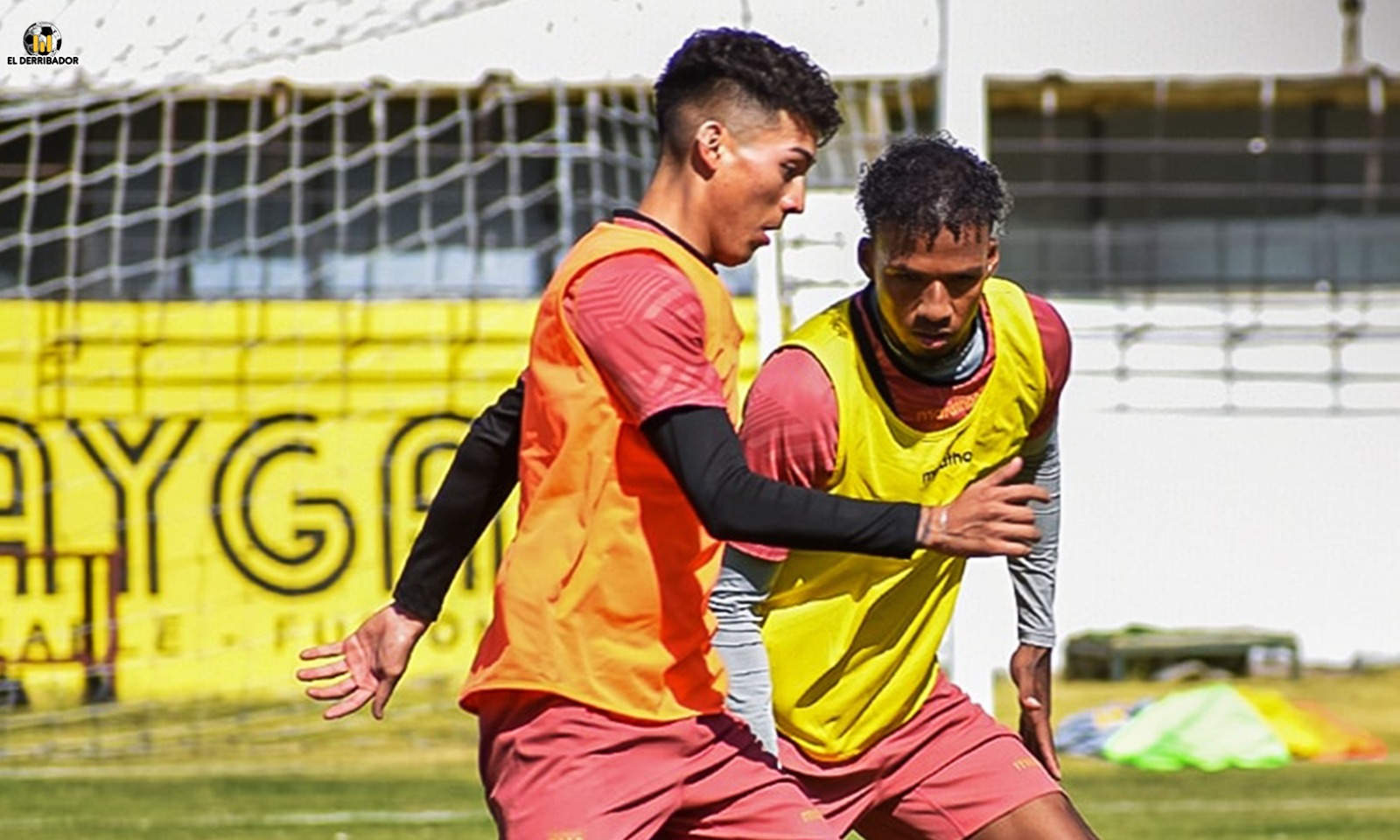 Sotomayor quiere jugar