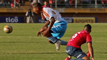 Blooming y su misión