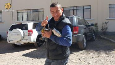 Con Independiente y Liga en Ecuador