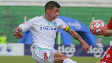 Conejo en observación 