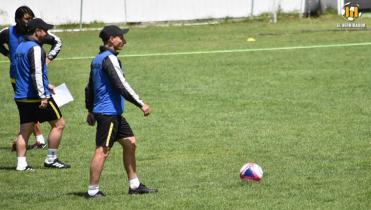 Contra un buen Bloomimg