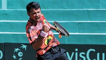 Dellien a semis