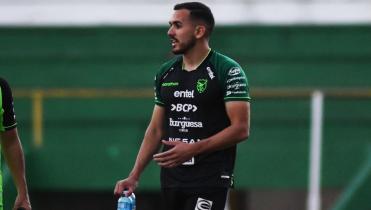 El trabajo de la verde 