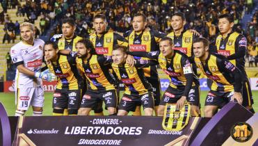 Este Tigre candidato