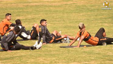 Experiencia atigrada