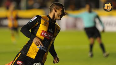 Explicación de amarillas