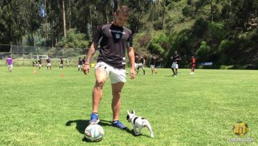 Hugo Bargas suena para el Tigre