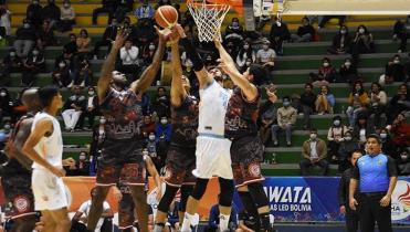 Libobasquet