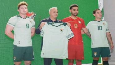 Nueva piel para la verde 