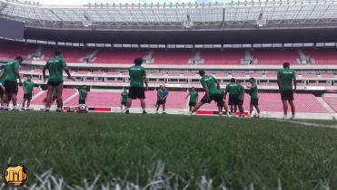 Pernambuco es del Tigre