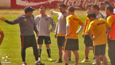 Rotación gualdinegra