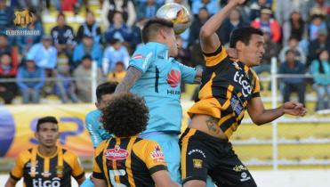 Sin atigrados y celestes