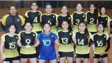 Tigre a la Liga Superior del Voley