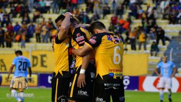 Tigre firme