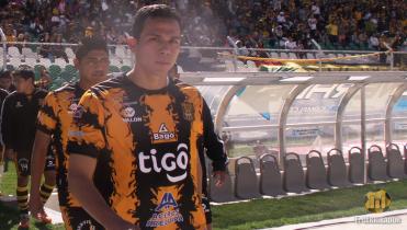 Tigres a la espera