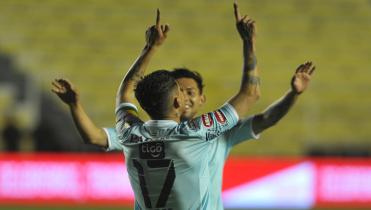 Un conejo agradecido