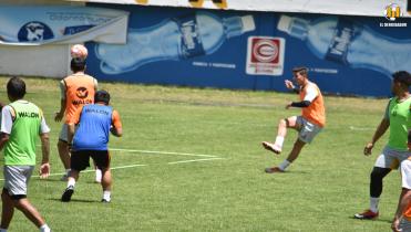 Un Tigre con actitud en Cochabamba