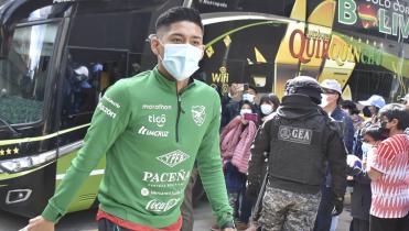 Vaca Ilusionado 