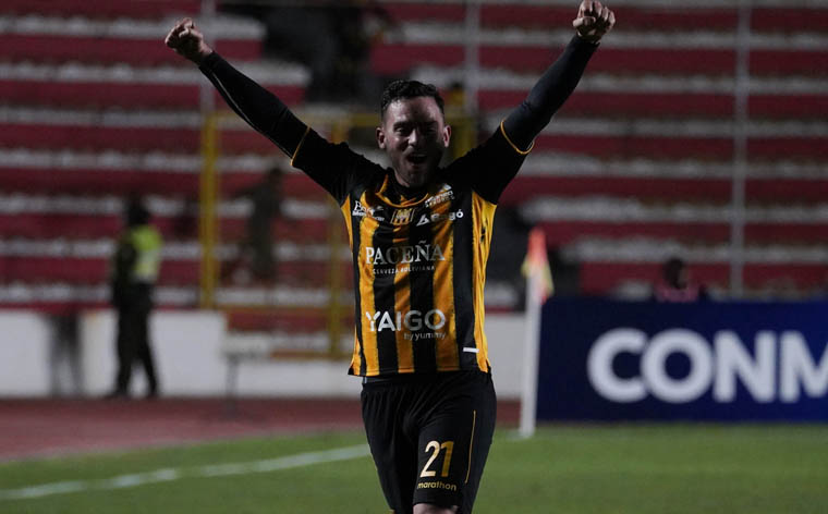 Tigre arrollador