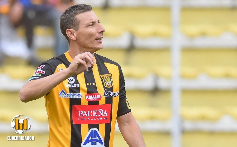 Tigre contundente