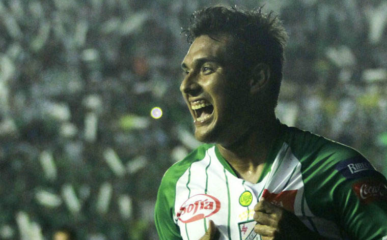 Viste la camiseta Albi verde 